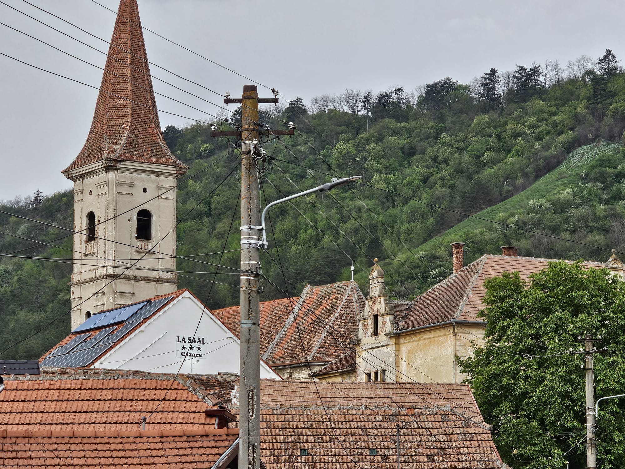 Turnul bisericii fortificate evanghelice, cu firma Casei La Saal vizibilă pe acoperiș, deal împădurit în fundal