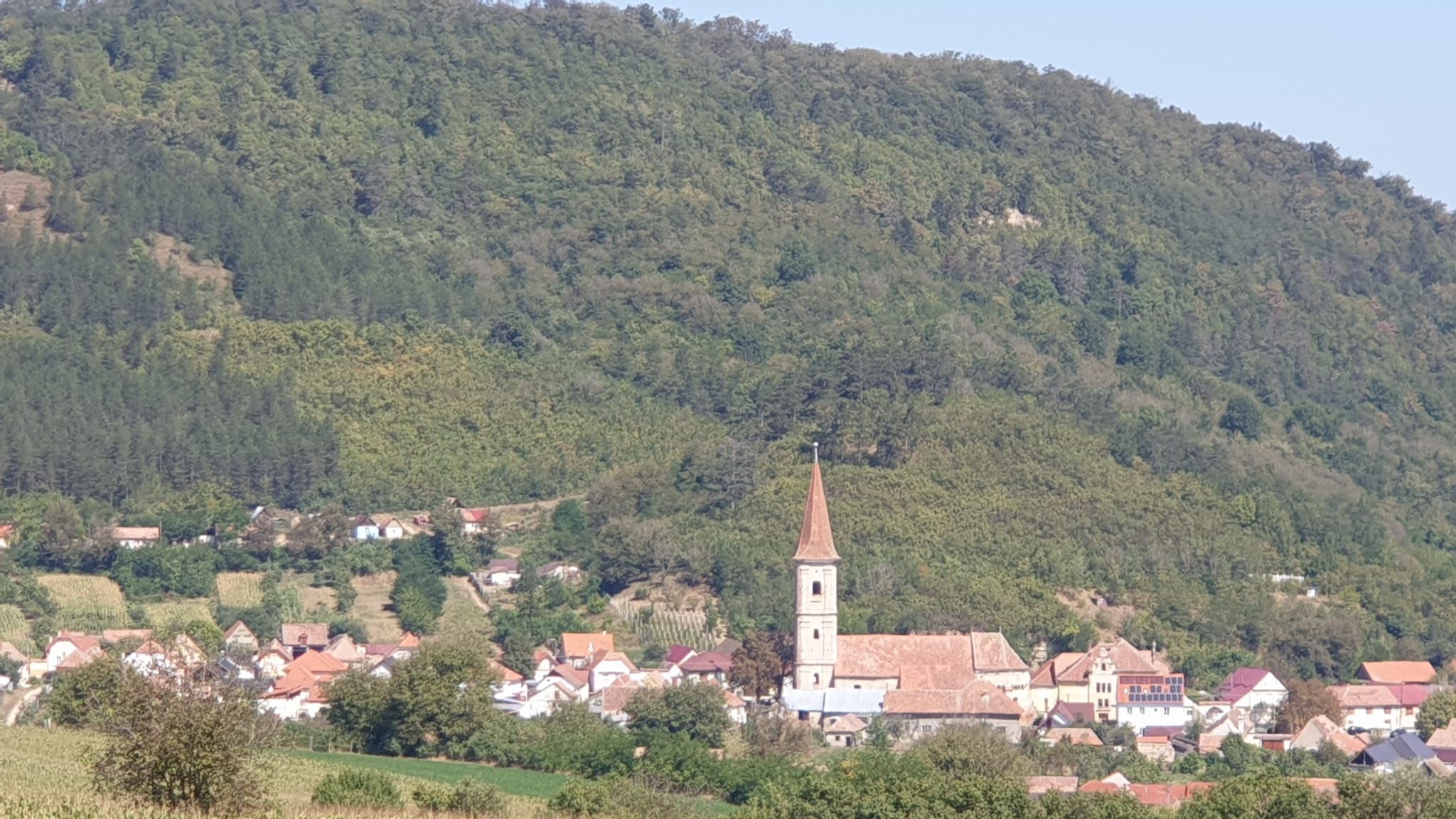 Vedere de ansamblu asupra satului, cu turnul bisericii și acoperișuri de țiglă