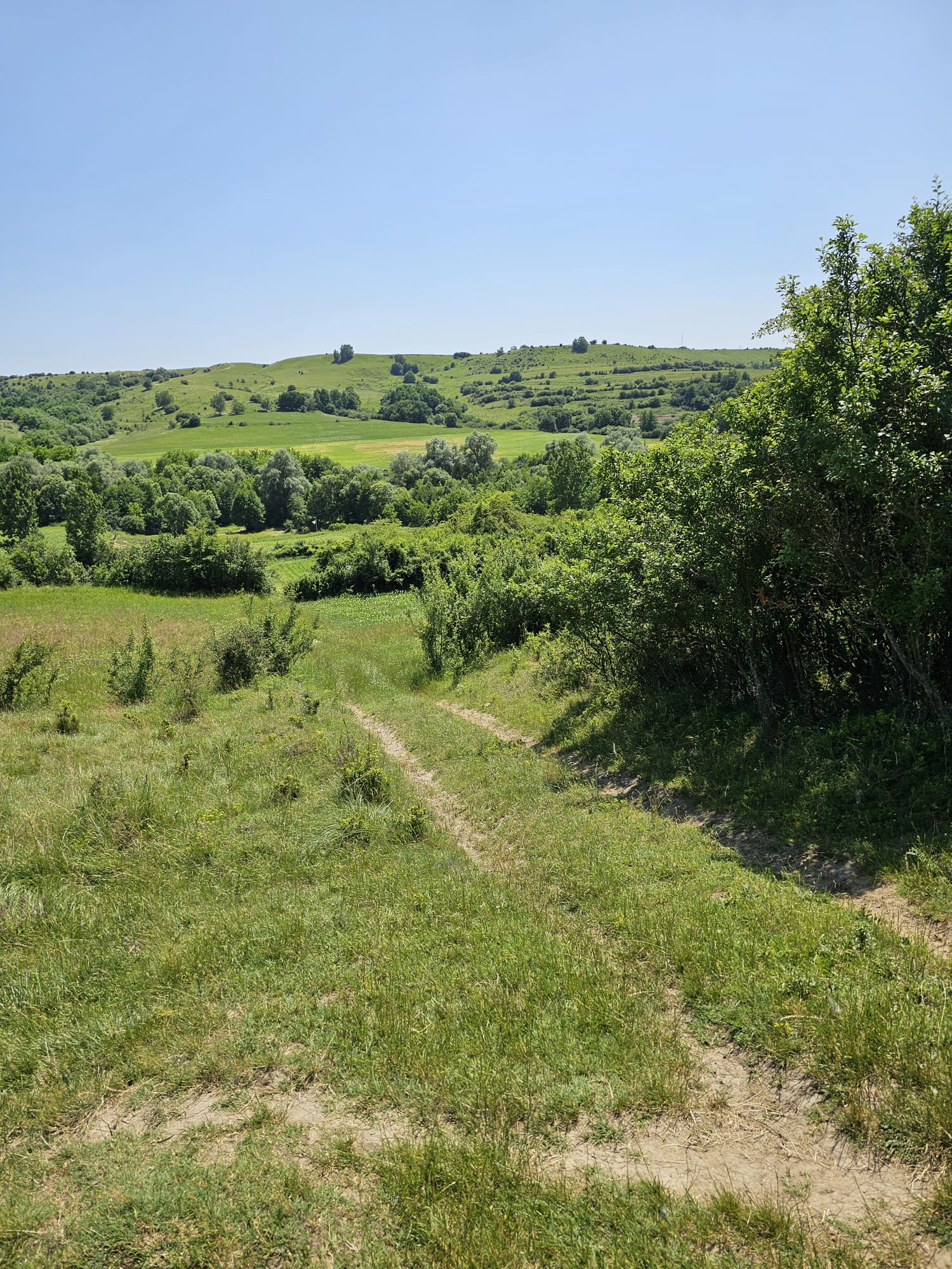 Potecă de pământ printr-o vale verde, dealuri împădurite în depărtare